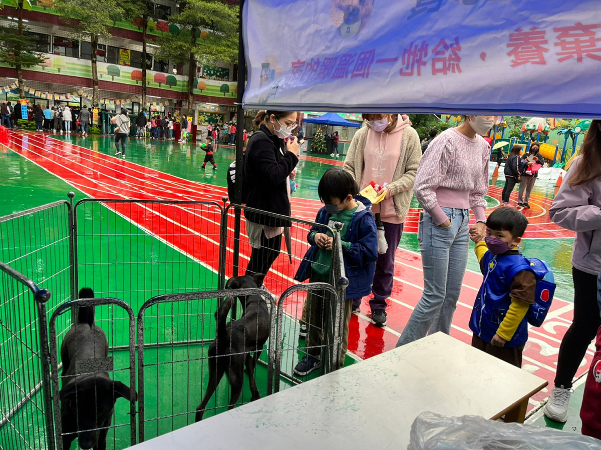 土城育全幼兒園在10日舉辦愛心義賣親子遊園會，新北動保處到校設置認養攤位，宣導愛護動物觀念。 圖：新北市動保處提供