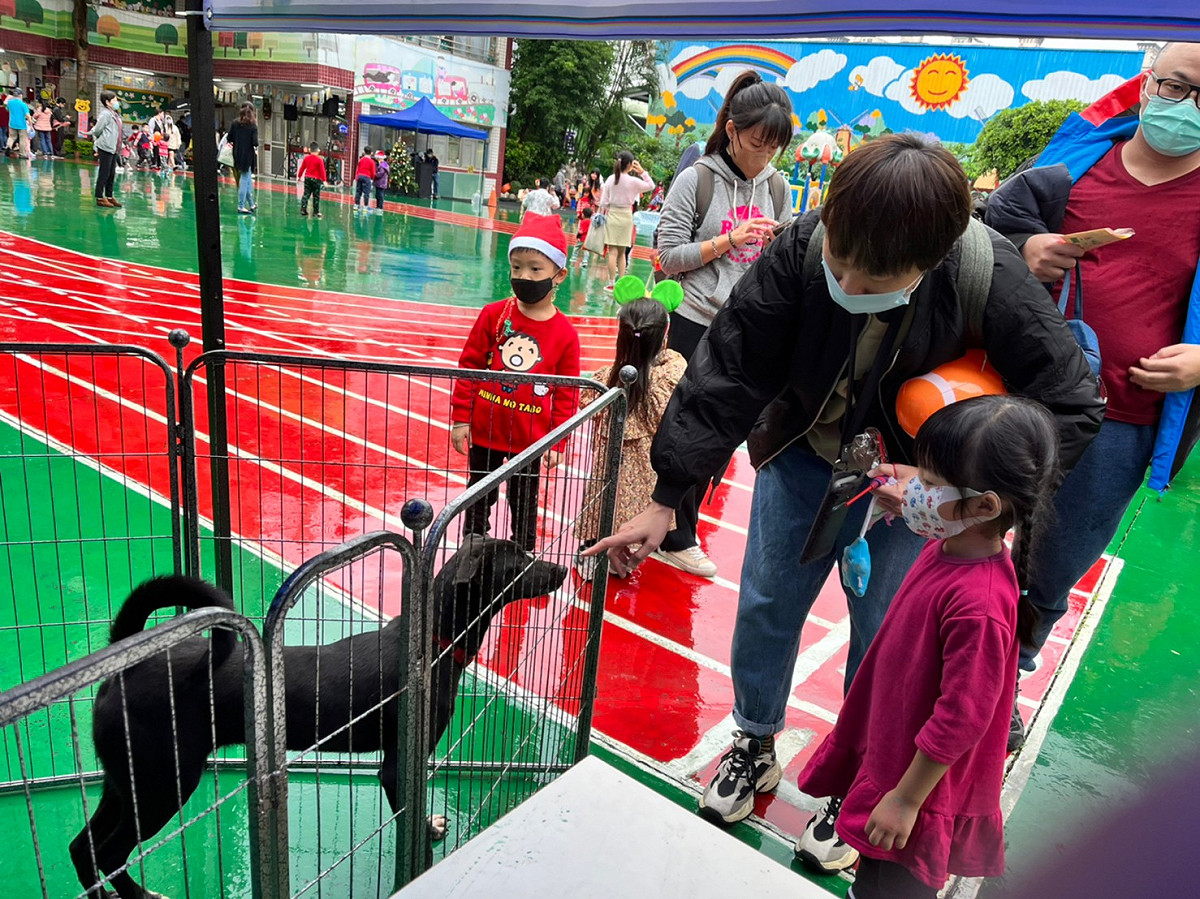 現場家長帶學童與待認養犬隻互動。 圖：新北市動保處提供