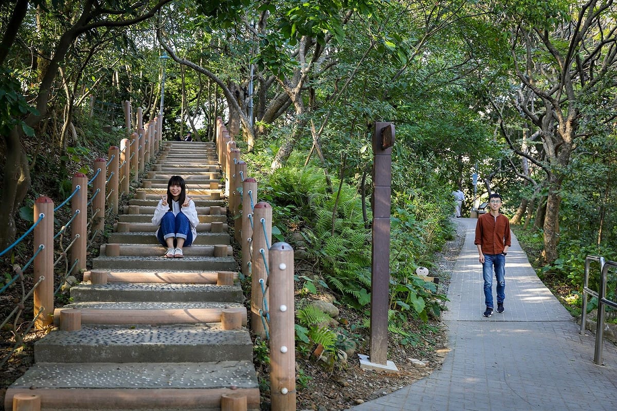 中和區自強公園化身都市森林。 圖：新北市景觀處提供