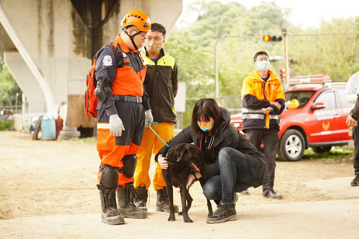 台灣工作犬發展協會及新北快搜部隊醫療組隨隊獸醫師首度出勤全程照護搜救犬醫療健康照護，成為搜救犬背後最堅強的後盾。 圖：新北市消防局提供
