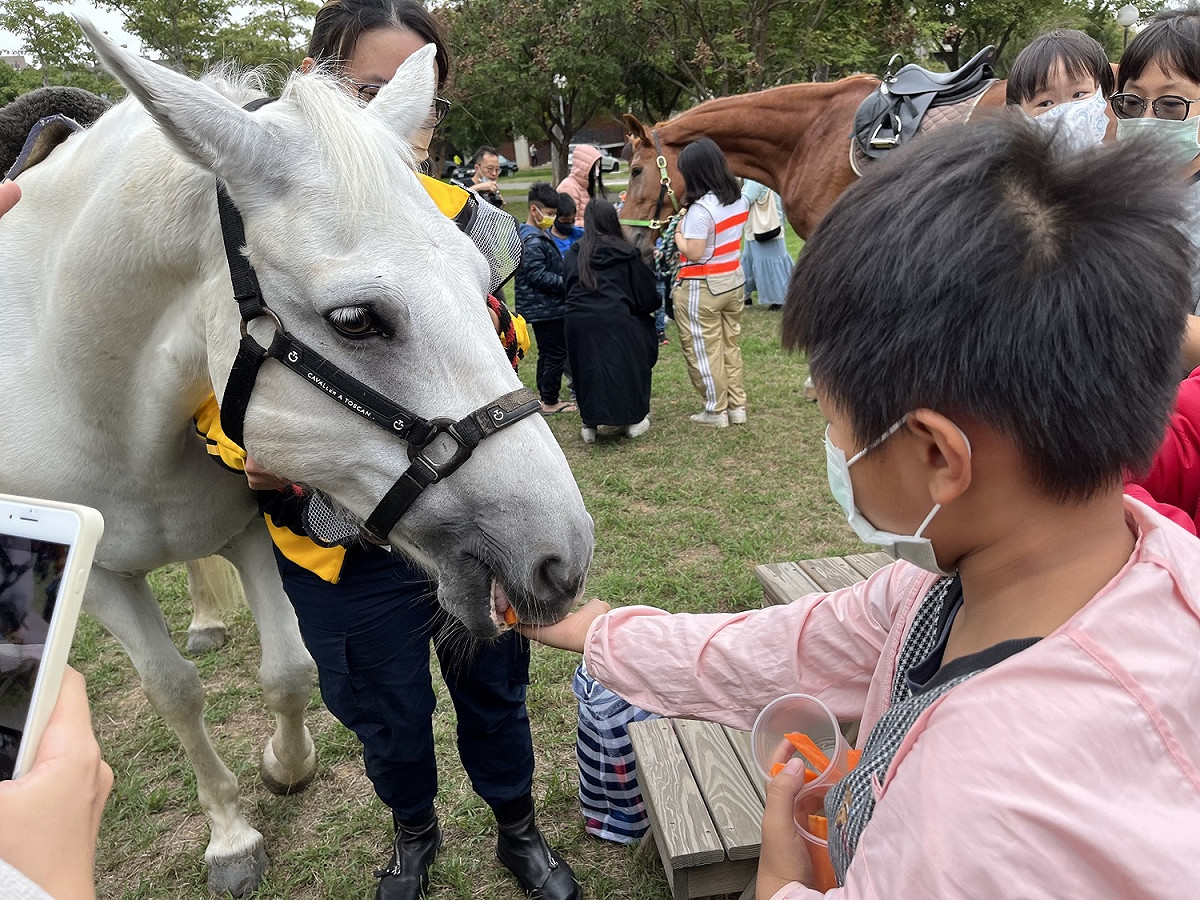 東海大學舉辦馬術體驗營，吸引家長帶著小孩前來騎乘體驗。 東海大學/提供