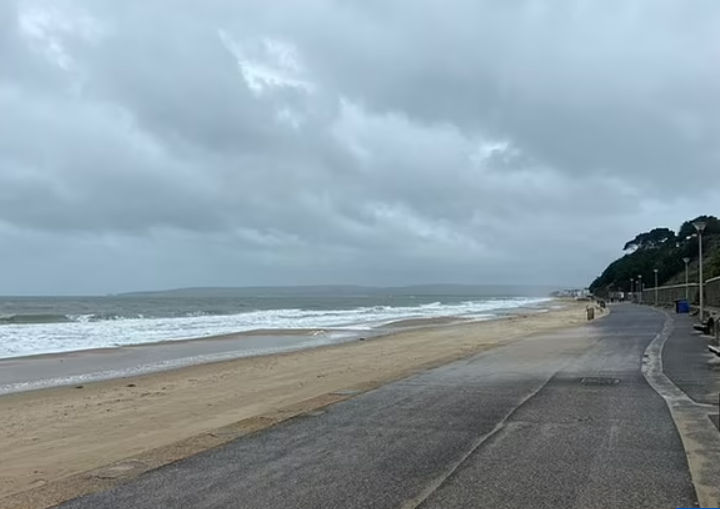 目擊者表示發現海怪的地點在英國英國多塞特郡 ( Dorset ) 的一處海灘。 圖: 翻攝自Reddit