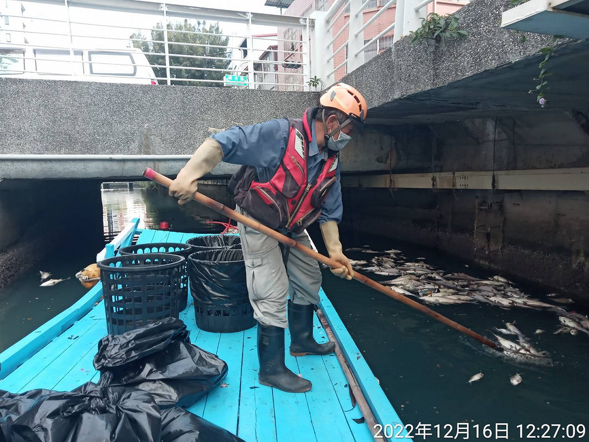 高市環保局一個上午清理4000公斤死魚。 圖：高雄市環保局/提供