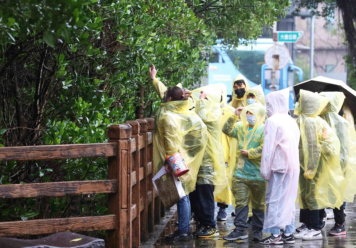 向小局長說明水筆仔、自然生態，並解釋碳匯對淨零的重要性。 圖：新北市環保局提供