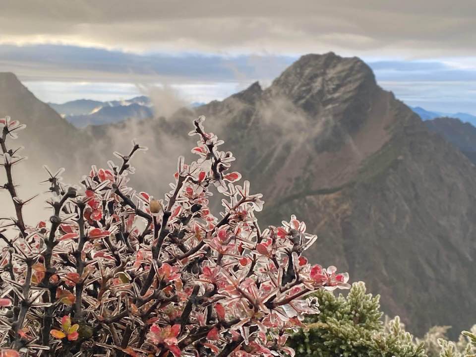 鄭明典在臉書分享玉山「凍雨」美景。 圖:翻攝自鄭明典臉書