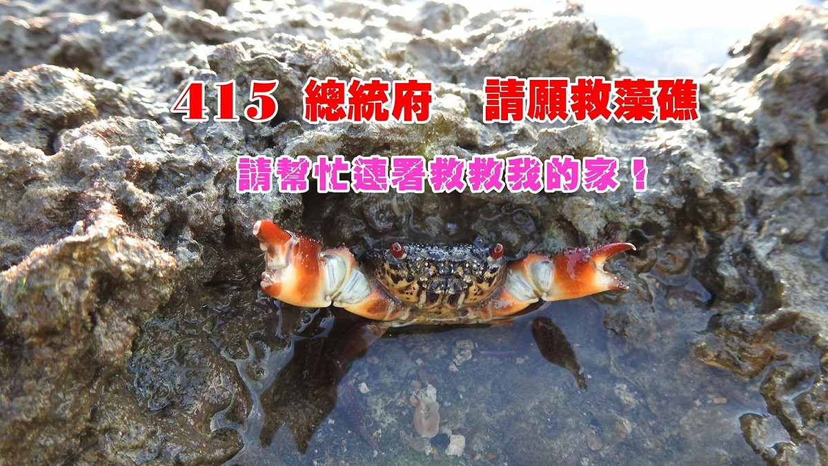 本週日(15)桃園在地聯盟邀請民眾團體一起上凱道向總統蔡英文請願。 圖：桃園在地聯盟提供。