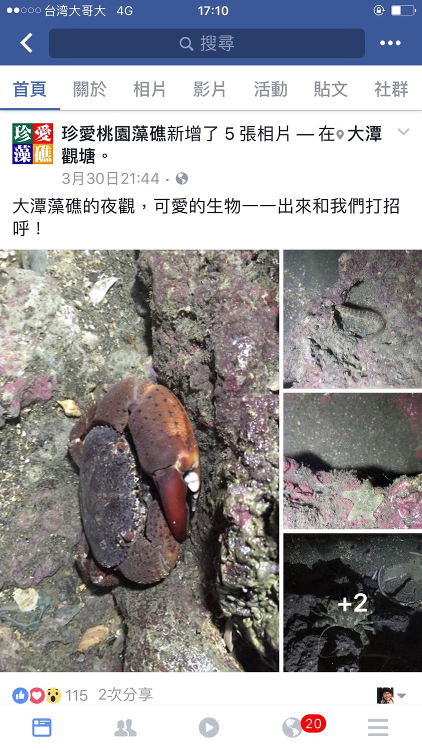 桃園大潭電廠前的觀音藻礁的臉書網頁。 圖：桃園在地聯盟提供。