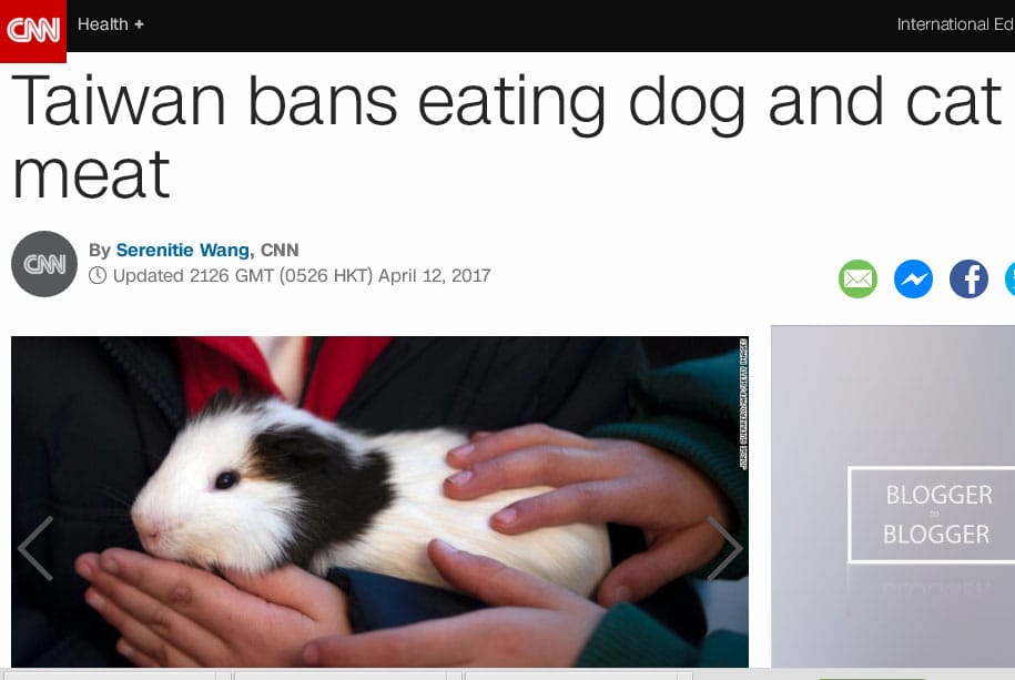 我立法院11日三讀通過《動物保護法》修正草案，加重虐待動物之罰則，已經引起國際媒體重視。 圖：翻攝CNN