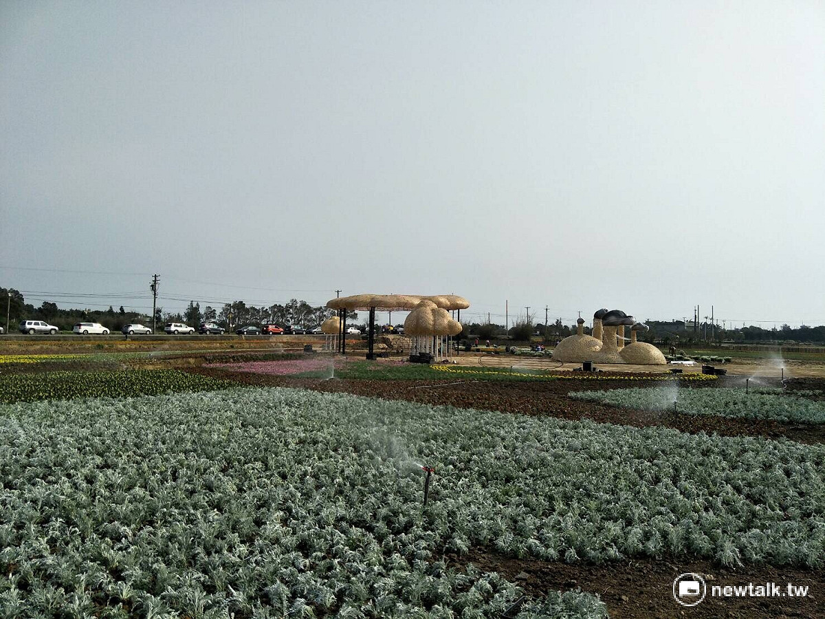 2017桃園農業博覽會 圖：桃園市政府提供