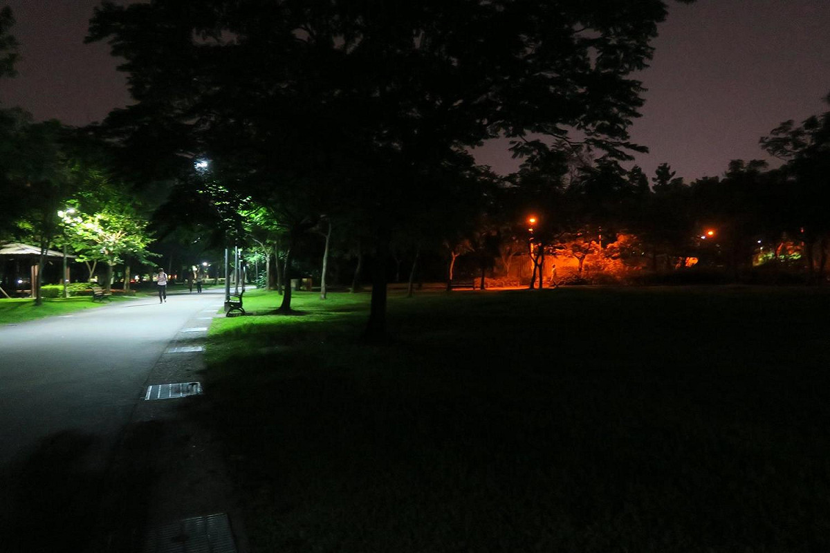 點點螢光迎接夏季來臨，四月底大安森林公園將能見到更多火金姑蹤跡。 圖：翻攝自大安森林公園之友基金會臉書