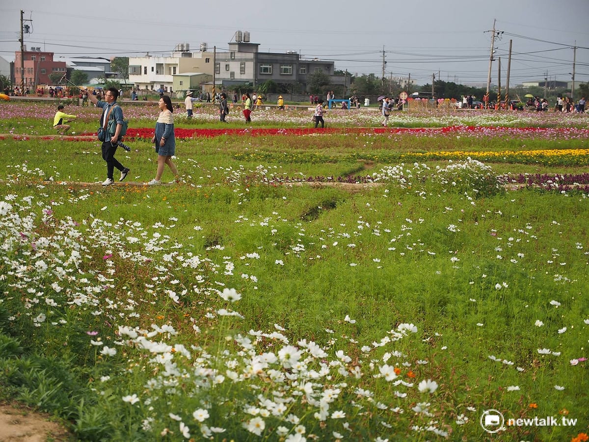 溪海位於桃園市西北邊，是台灣重要的花卉生產基地，今年桃市府將輔導溪海里劃為休閒農業區，主打「漫步田園樂、徜徉花海趣」的休閒產業。 圖：彭素華攝