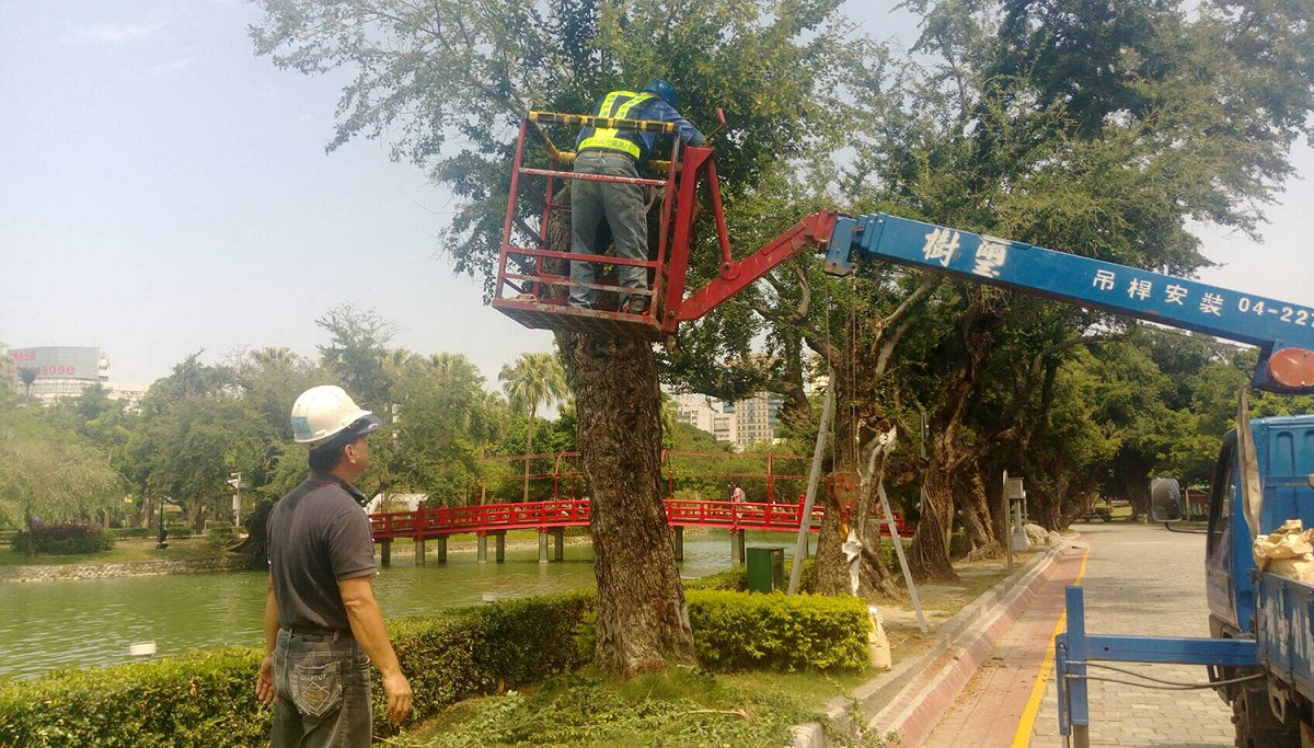 樹木是公園內重要的景觀資產，樹木身上的腐朽傷口常因沒有立即性危險而被忽略，樹木受傷後易風倒與風折，嚴重時可能發生樹枝及樹幹斷裂壓傷人車事件。 圖：台中市政府提供