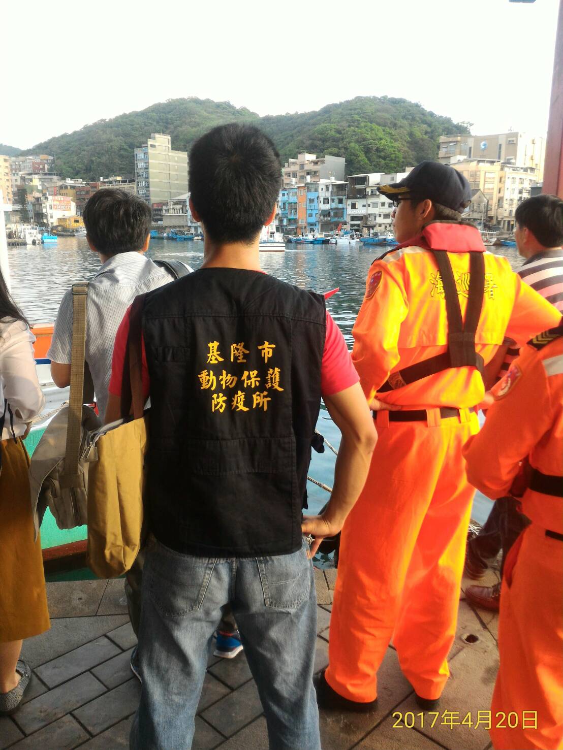 基隆正濱漁港發現小虎鯨在港內洄游，動物保護防疫所獲報後前往現場處理，研判可能是因為追逐魚群而脫離群體，以致誤入港區，因獸醫判斷不需上岸醫療，目前動保所仍持續觀察鯨豚動態，等待牠自行游出港區。
