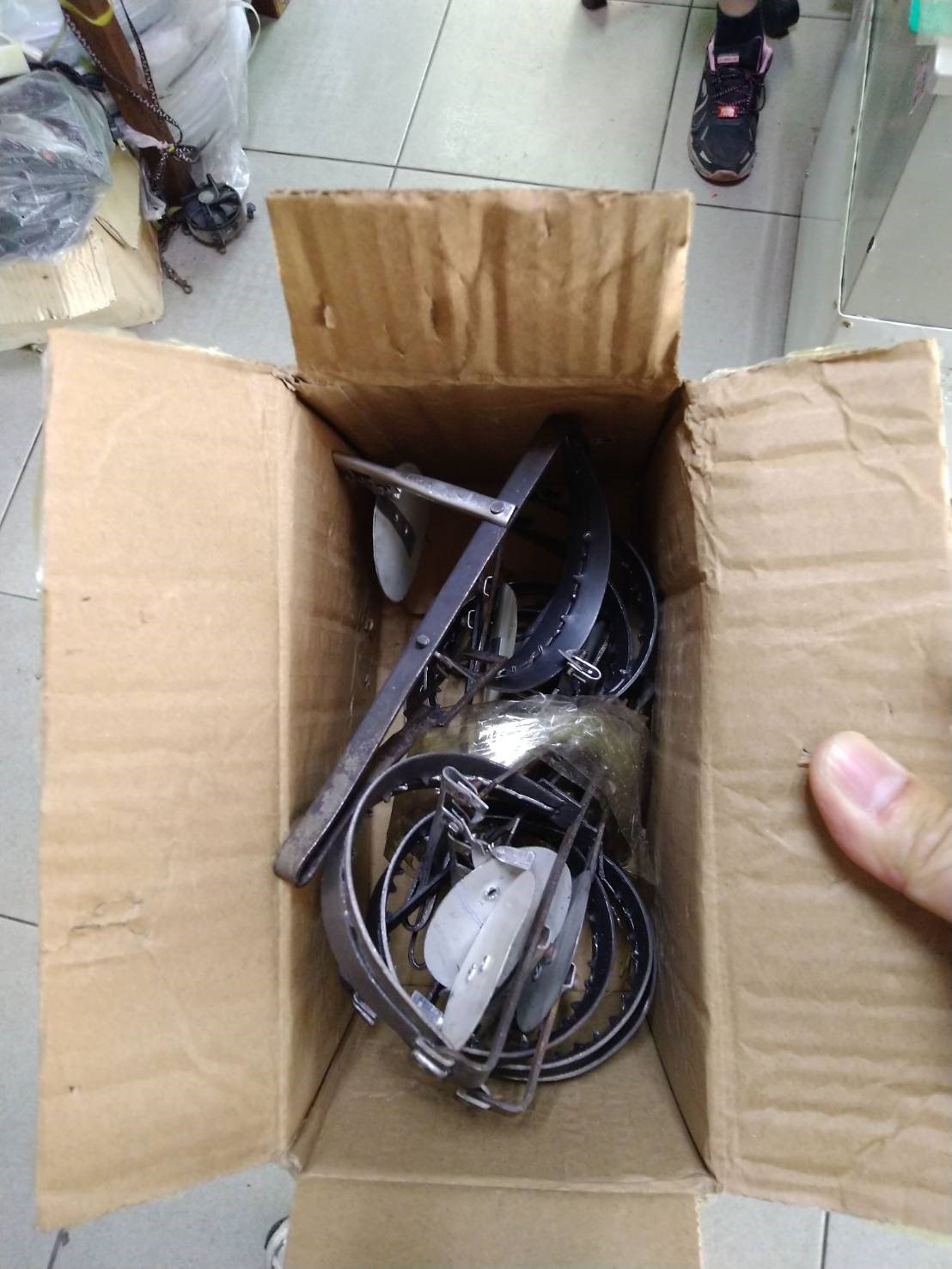 動保處前往樹林區帶回販售出的獸鋏。 圖：新北市動保處提供