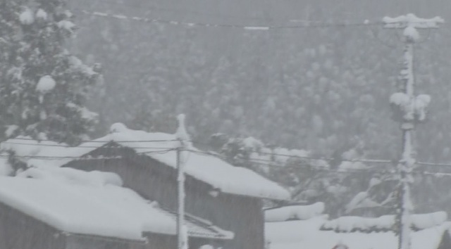日本新潟縣也出現強降雪。 圖:翻攝自推特/TeNYテレビ新潟/大雪情報発信中 @TeNY4ch