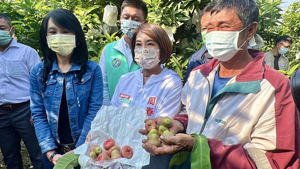 屏東寒害蓮霧落果嚴重，縣長周春米上任首日即赴產區關心。 圖：取自屏東縣政府官網