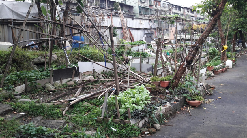 尚未進行規劃及工程施工閒置的閒置空地（施工前）。 圖：新北市水利局提供