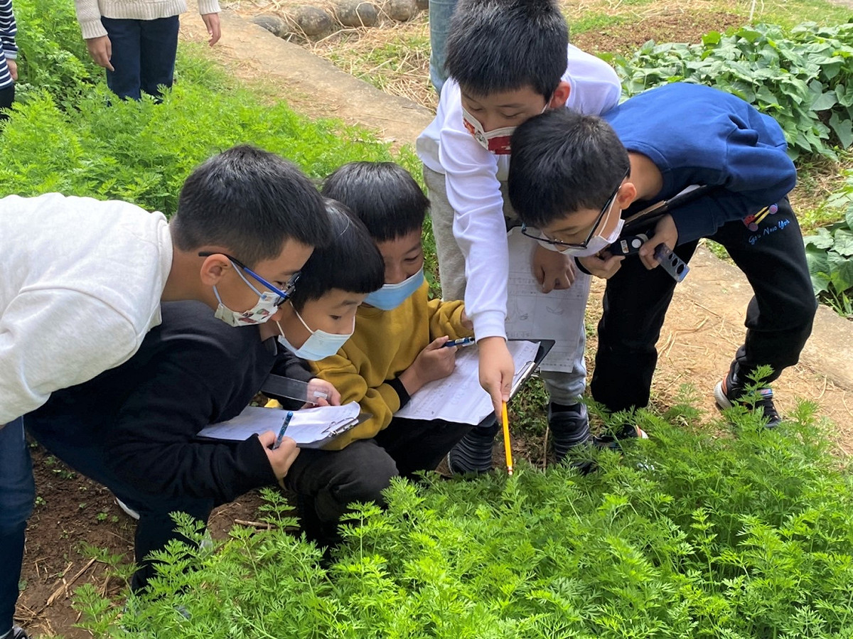 淡水區新市國小辦理一畝田學生課程。 圖：新北市環保局提供