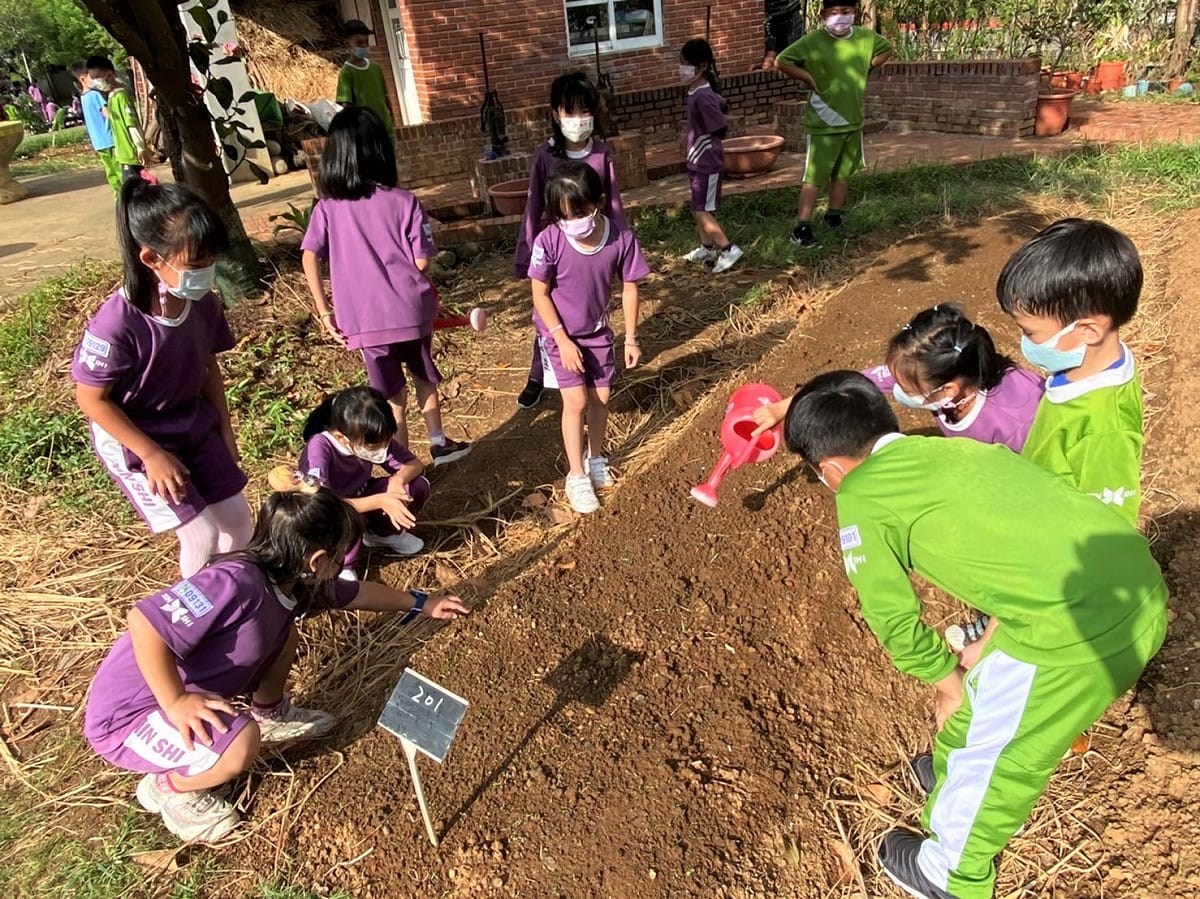 淡水區新市國小一畝田食農教育。 圖：新北市環保局提供