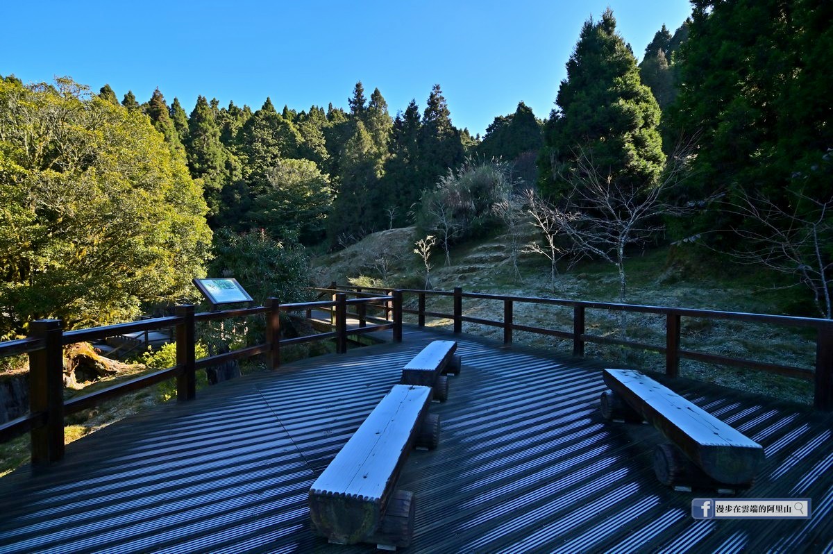 近期阿里山不只晨昏接近零度，連白天的背光面都在十度以下。 圖：取自《漫步在雲端的阿里山》臉書
