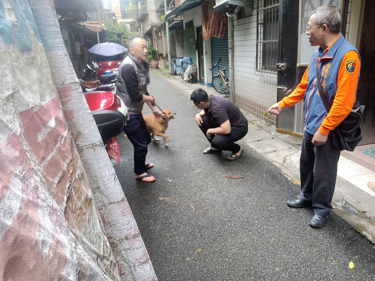 大黃視力差看不清楚若人靠近會緊張吠叫。 圖：新北市動保處提供