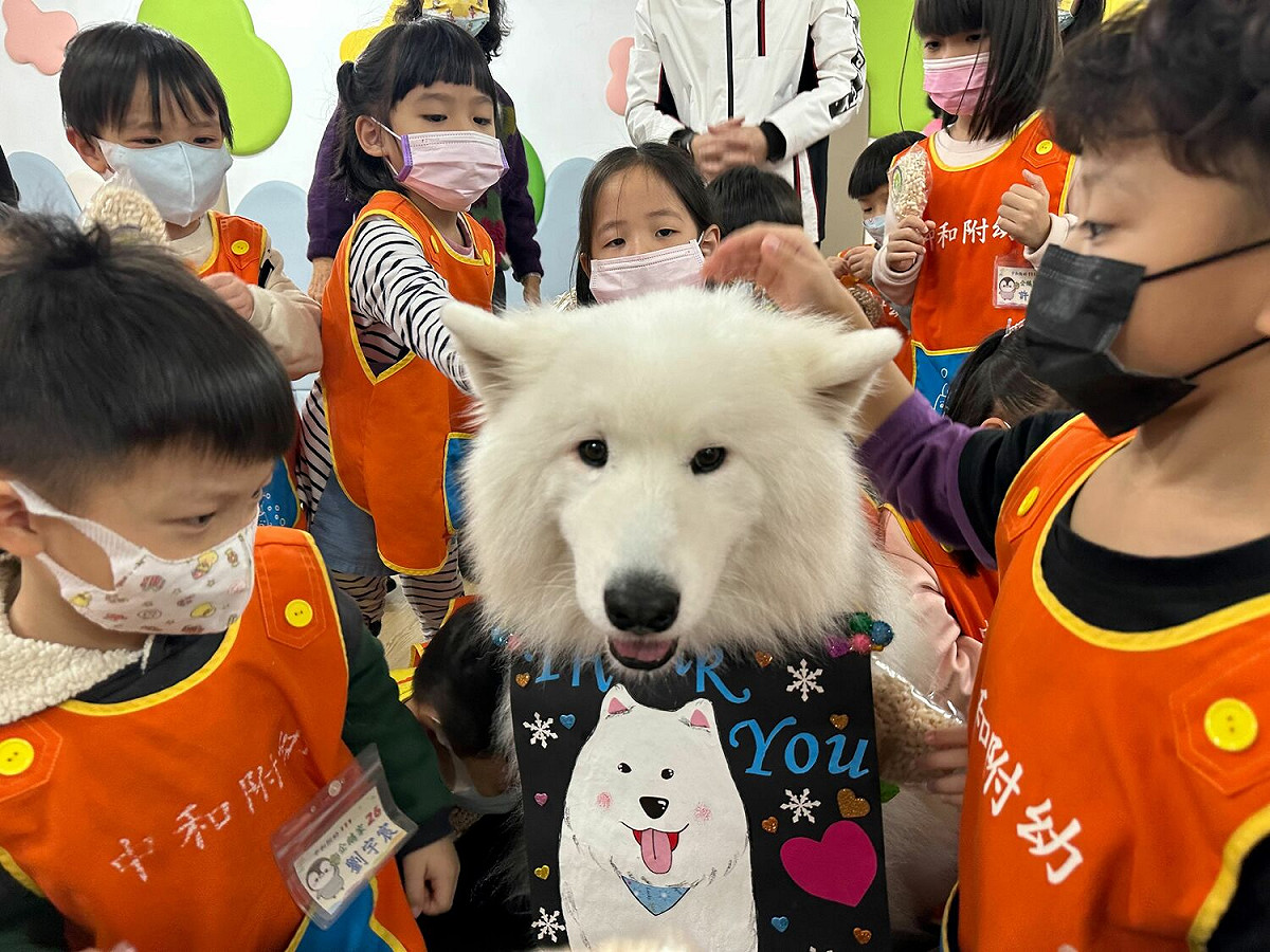 新北市中和國小附設幼兒園結合主題教學課程「聽我說，我愛你」，特別邀請經過狗醫生協會認證通過的狗醫生-魯蛋到幼兒園一起進行融合教學。 圖：新北市教育局提供（資料照）