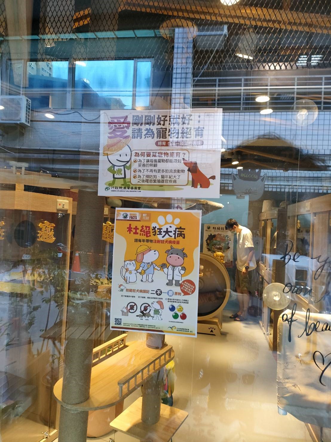 業者於新冠肺炎疫情其間協助被隔離飼主安置寵物。 圖：新北市動保處提供
