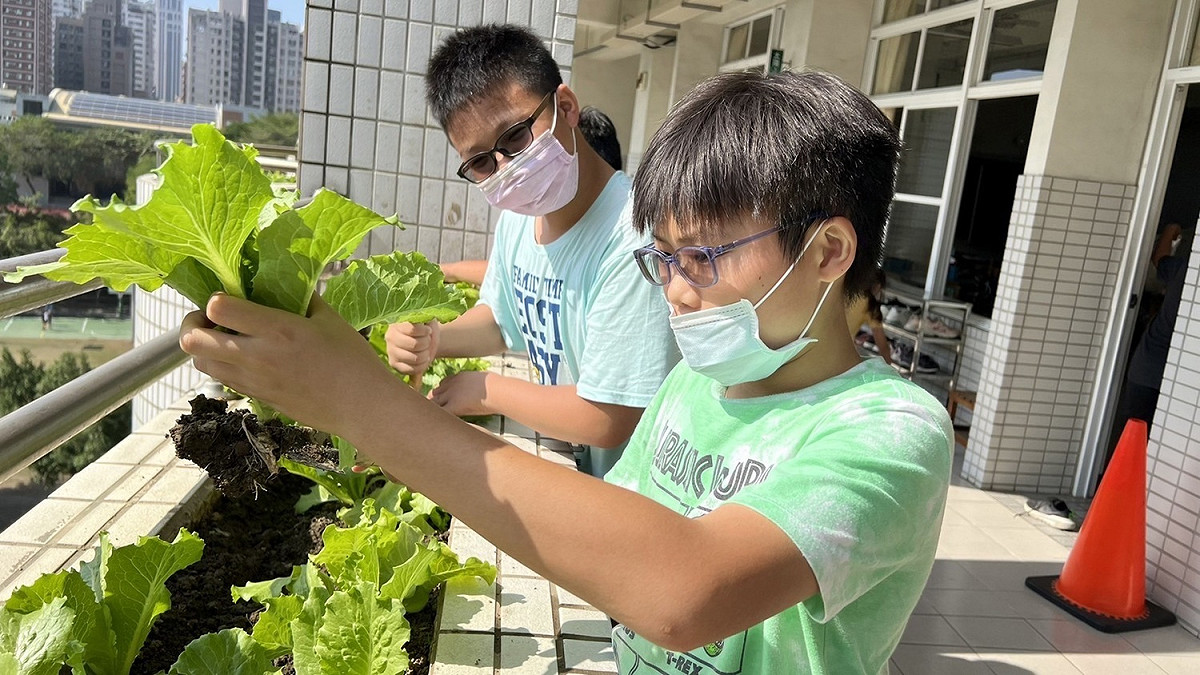 教室花台種植蔬果， 推廣食農教育。 圖：高雄市新上國小/提供