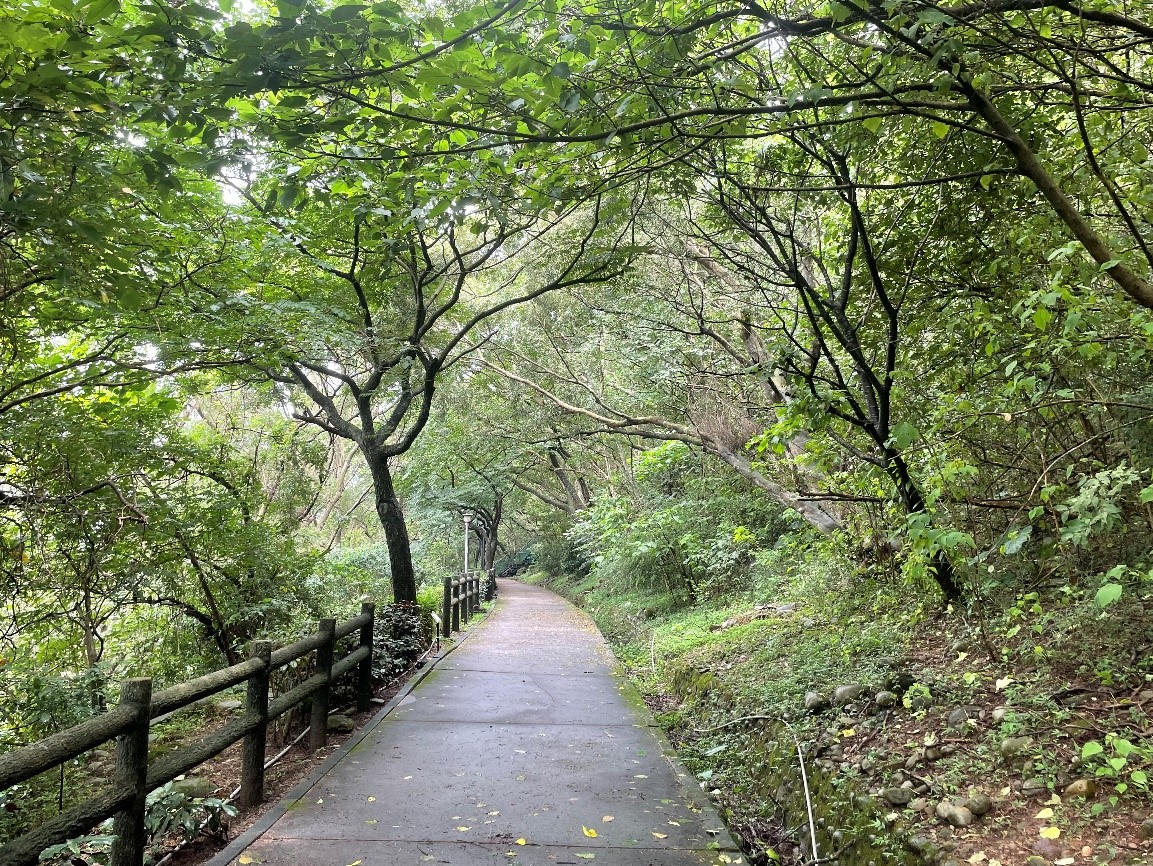 五股水碓觀景公園綠意盎然的森林步道。 圖：新北市景觀處提供