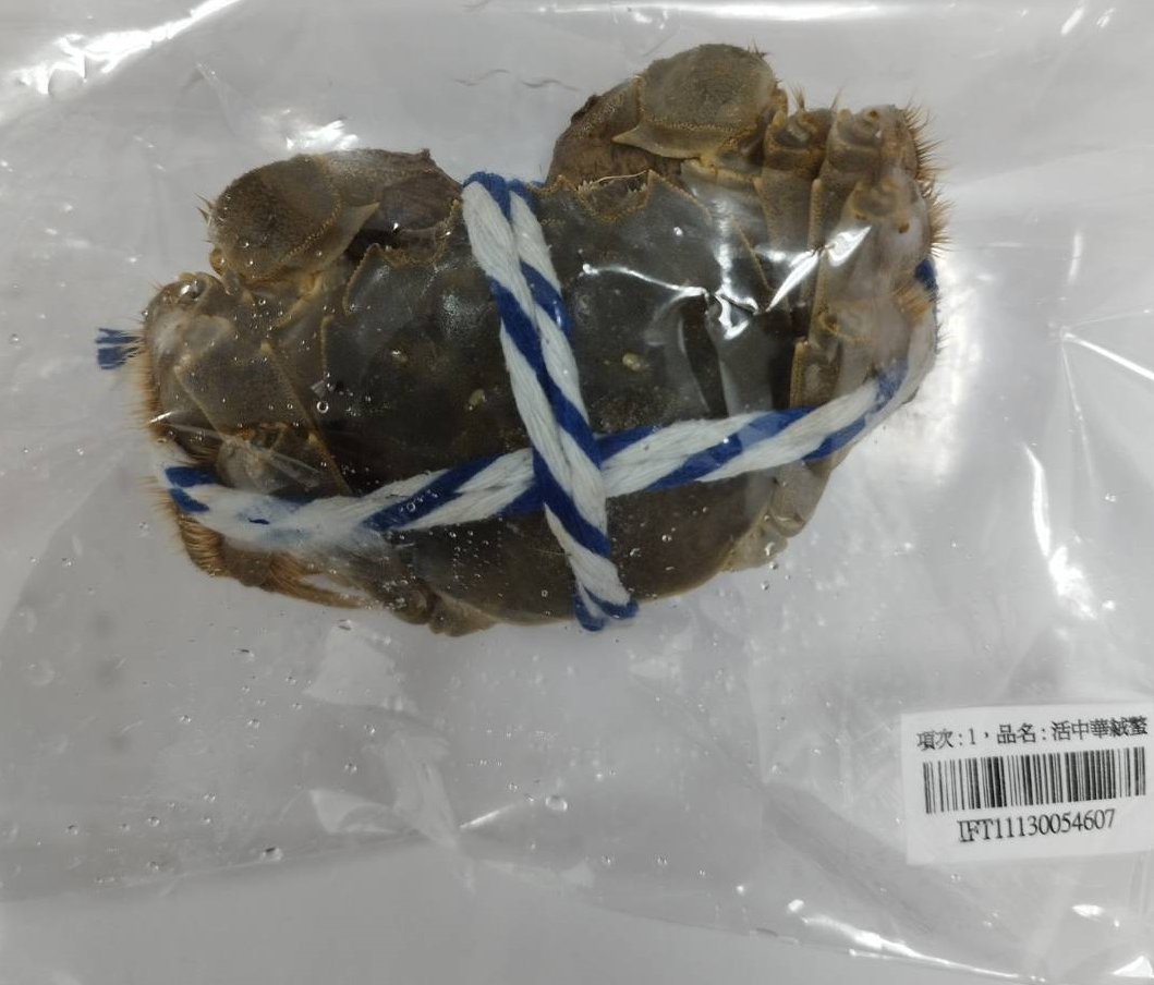 食藥署今公布一批來自中國大閘蟹戴奧辛超標，除6400公斤螃蟹要銷毀或退運之外，也將針對檢出戴奧辛之養殖場(盤山縣東方旭海水產養殖場，註冊號：2100/AC001)，自112年1月3日(出口日)起暫停受理輸入查驗申請。 圖：食藥署／提供