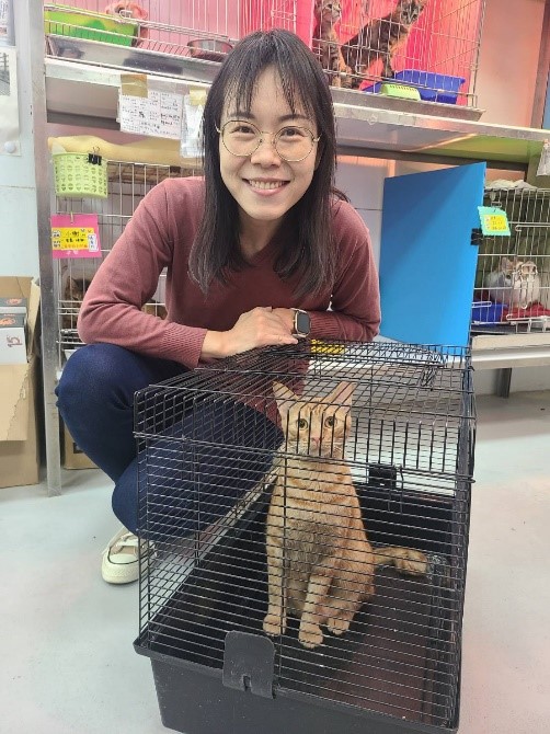 律師何家怡來板橋動物之家，領養一隻可愛的橘貓。 圖：新北市動保處提供
