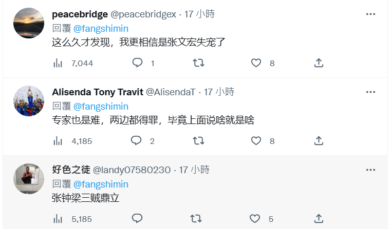 網友在方舟子貼文下方留言批評張文宏 圖：翻攝自推特