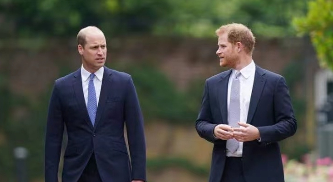 英國王子哈利(右)與威廉。 圖 : 翻攝自環球網