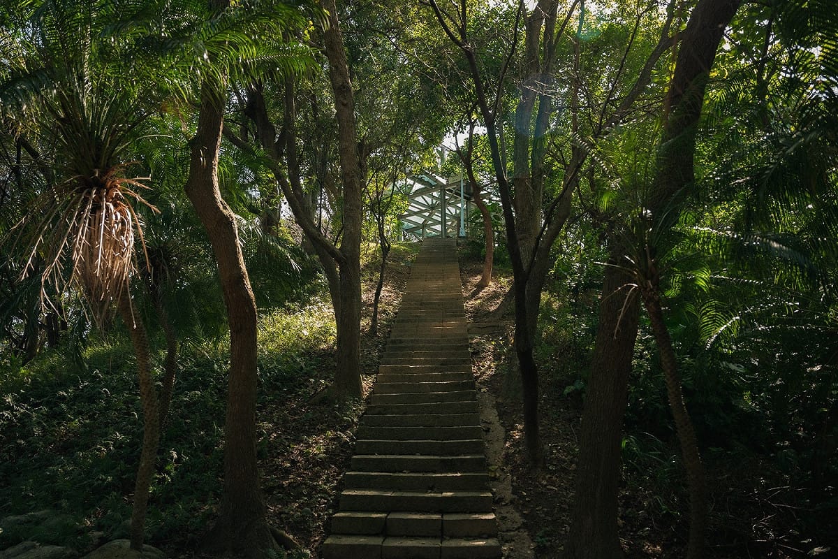 「城市覓徑」-中和區錦和運動公園，林蔭蔥鬱的城市覓徑。 圖：新北市景觀處提供