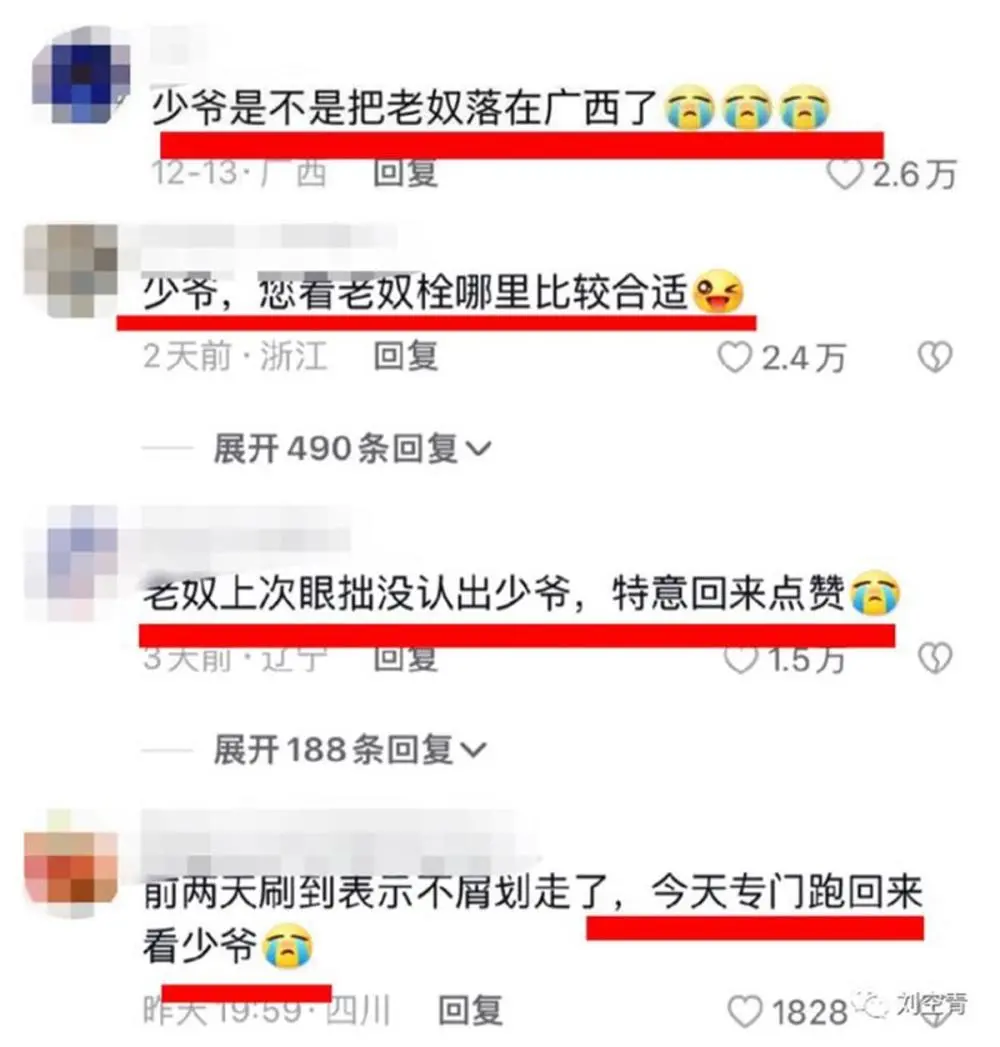 許多網友在萬柳書院少爺的抖音下留言自稱「老奴」。 圖:翻攝自抖音
