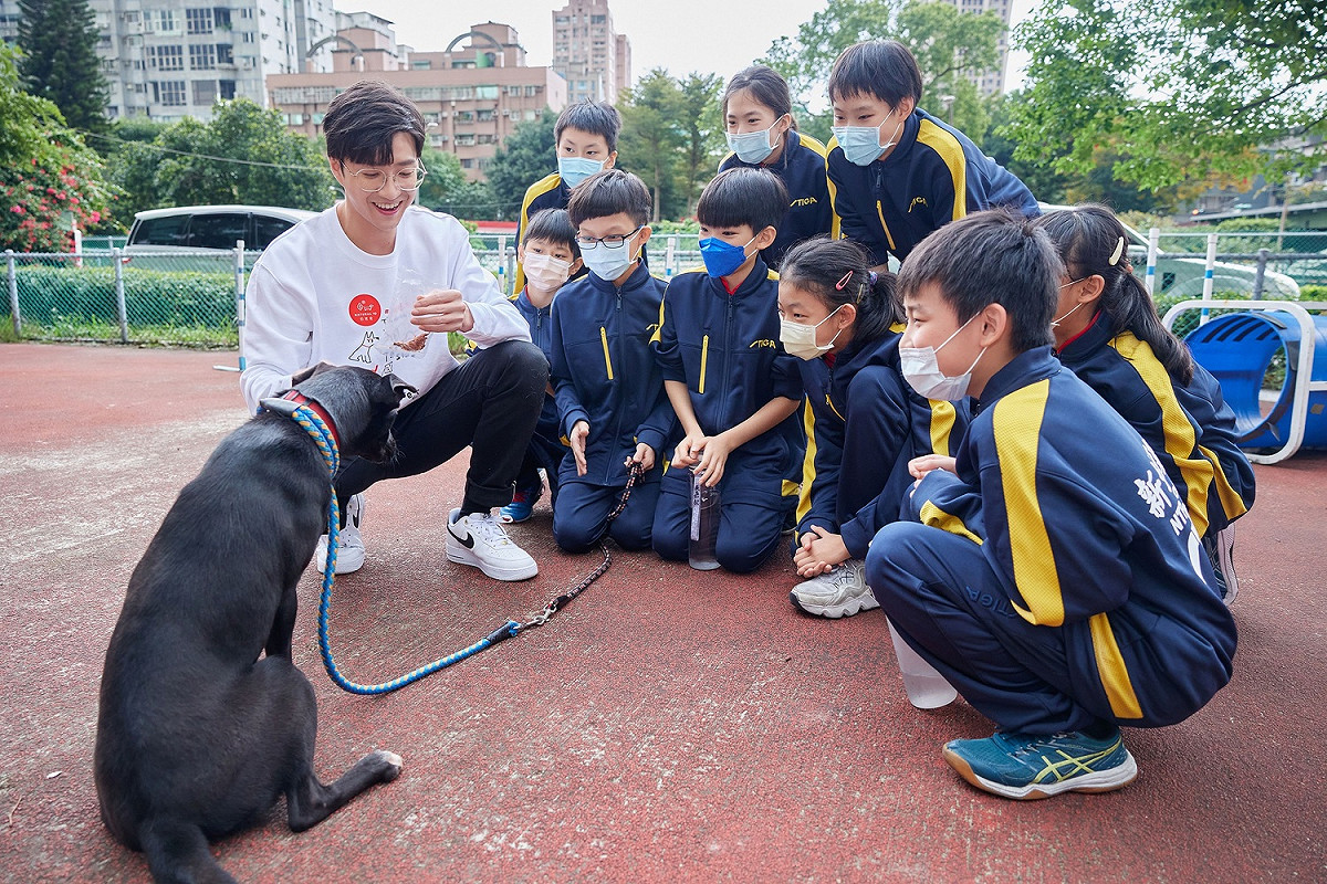 江宏傑一同跟後埔國小學童跟動物之家狗狗互動。 圖：新北市動保處提供