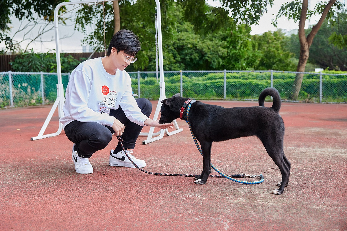 江宏傑現場跟動物之家狗狗互動。 圖：新北市動保處提供