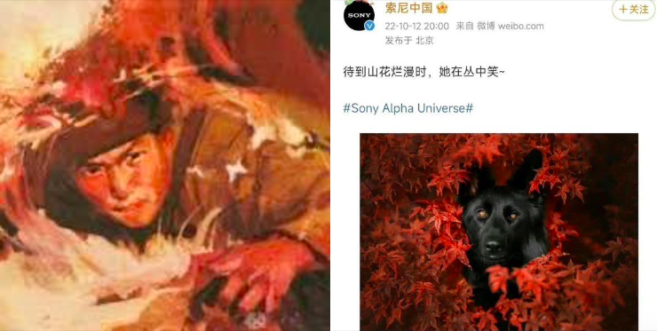 矢板明夫ＰＯ出黑狗的照片和邱少雲的宣傳畫，要大家評判一下「覺得有像嗎？」。 圖：翻攝自矢板明夫俱樂部粉專
