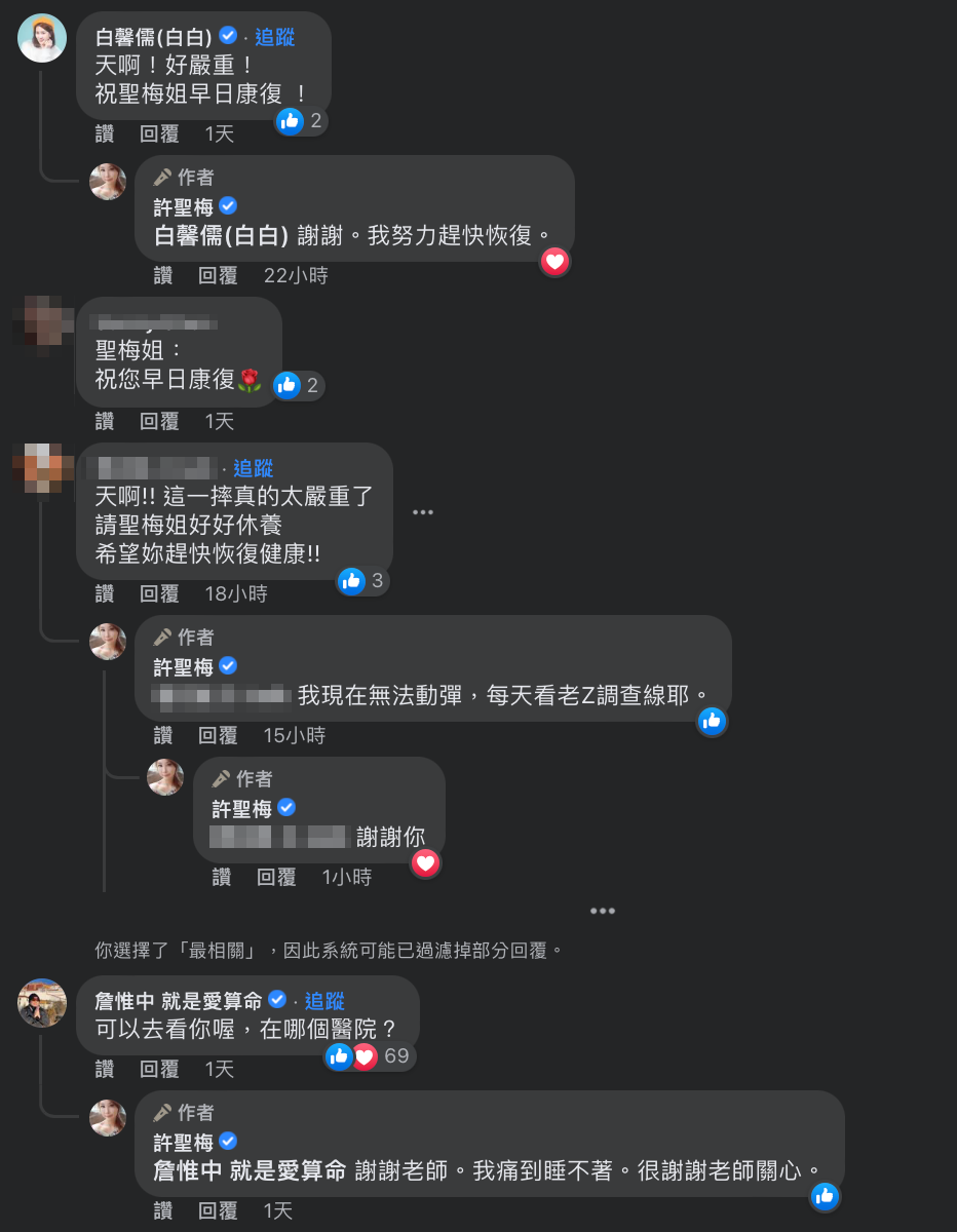藝人詹惟中也留言表示「可以去看你喔，在哪個醫院？」 圖：翻攝自許聖梅FB