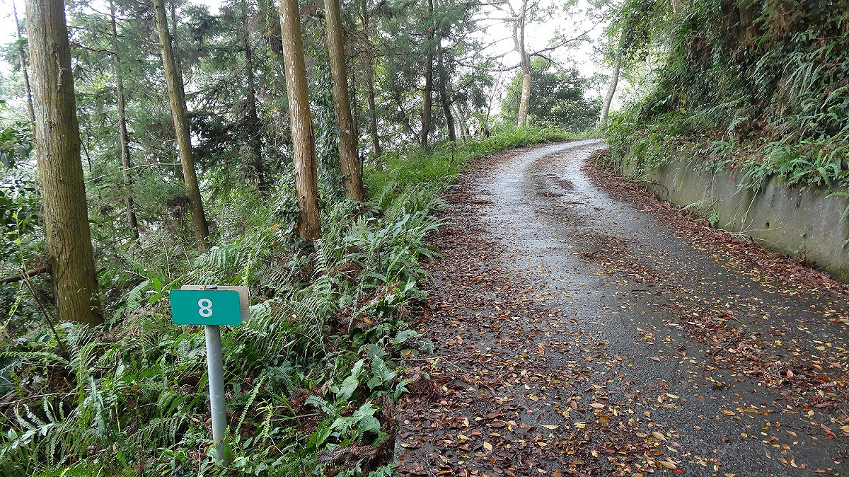 郡大林道近日因天候及山況不穩定，林道沿線仍存在落石及坍方風險。 圖：取自林務局網站