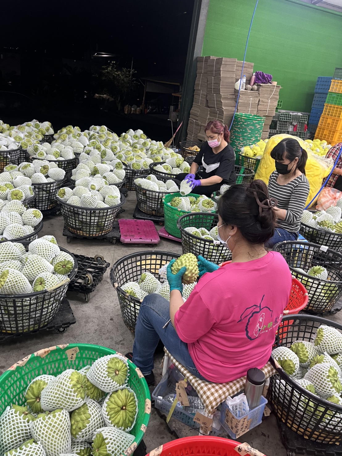 台東農友包裝出貨。 圖：新北果菜公司提供