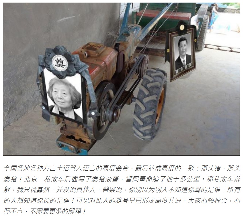 正在中國人圈子悄悄流通的1篇罵人的文章，寫道：「全國各地各種方言土語罵人語言的高度會合，最後達成高度的一致：那頭豬，那頭蠢豬」！值得注意的是右後遺像照片。 圖：翻攝自加拿大51資訊網