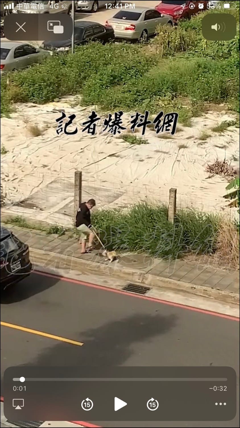 民眾目擊犬隻遭飼主踢踹。 圖：新北市動保處提供