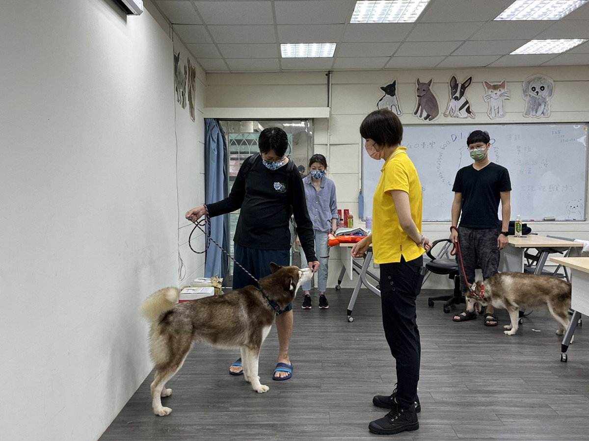 動保處開設的行為課程廣受歡迎。 圖：新北市動保處提供
