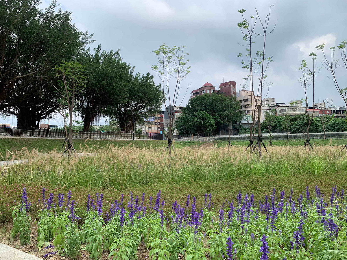 公園種植多樣開花植物可讓民眾賞心悅目。 圖：新北市水利局提供