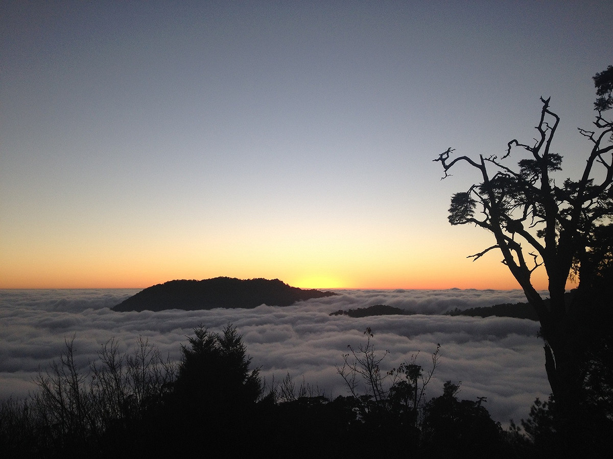 大雪山國家森林遊樂區雲海景觀。 圖：東勢林區管理處／提供