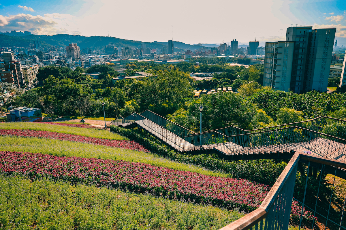 北投三層崎花海。 圖：台北市工務局 / 提供