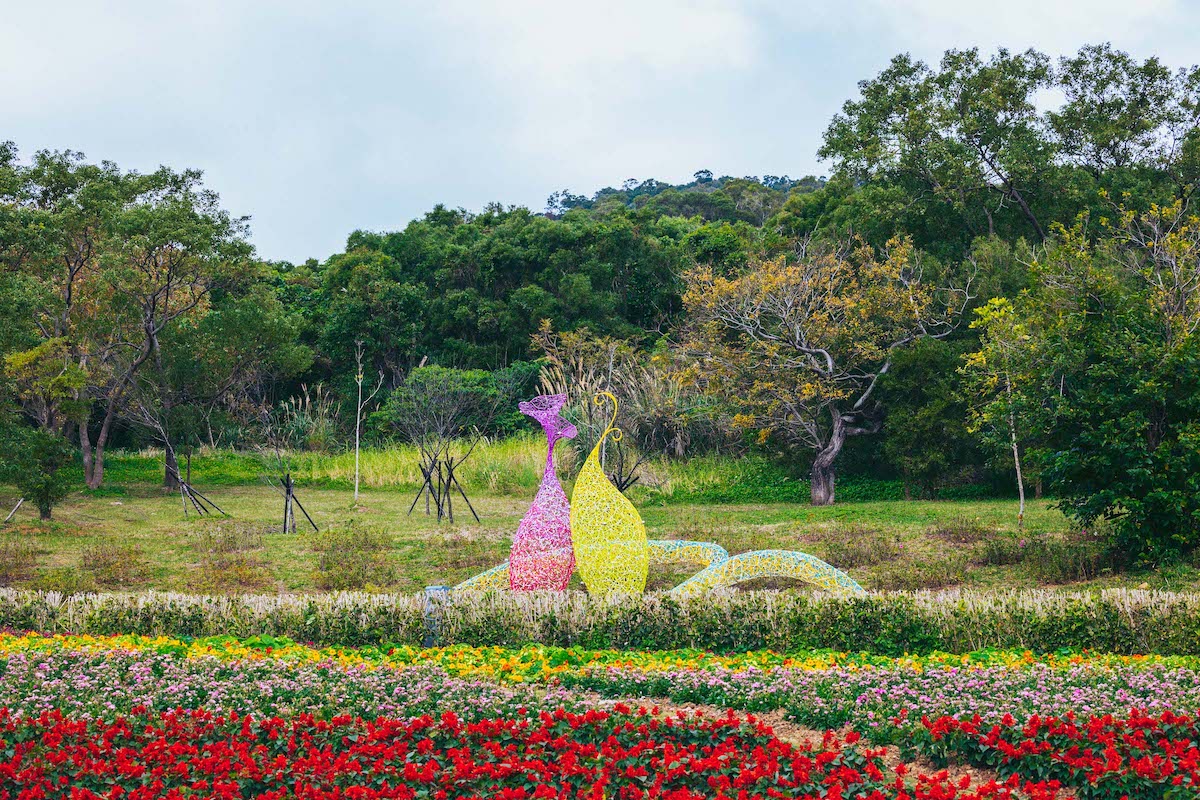 北投三層崎花海。 圖：台北市工務局 / 提供