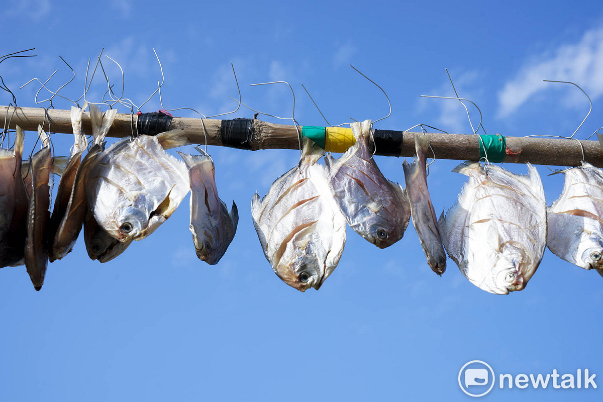 東莒冬季有不少海魚洄游至此，冬季冷冽乾燥的北風非常適合曬魚乾。莒冬季有不少海魚洄游至此，冬季冷冽乾燥的北風非常適合曬魚乾。 圖：張良一/攝