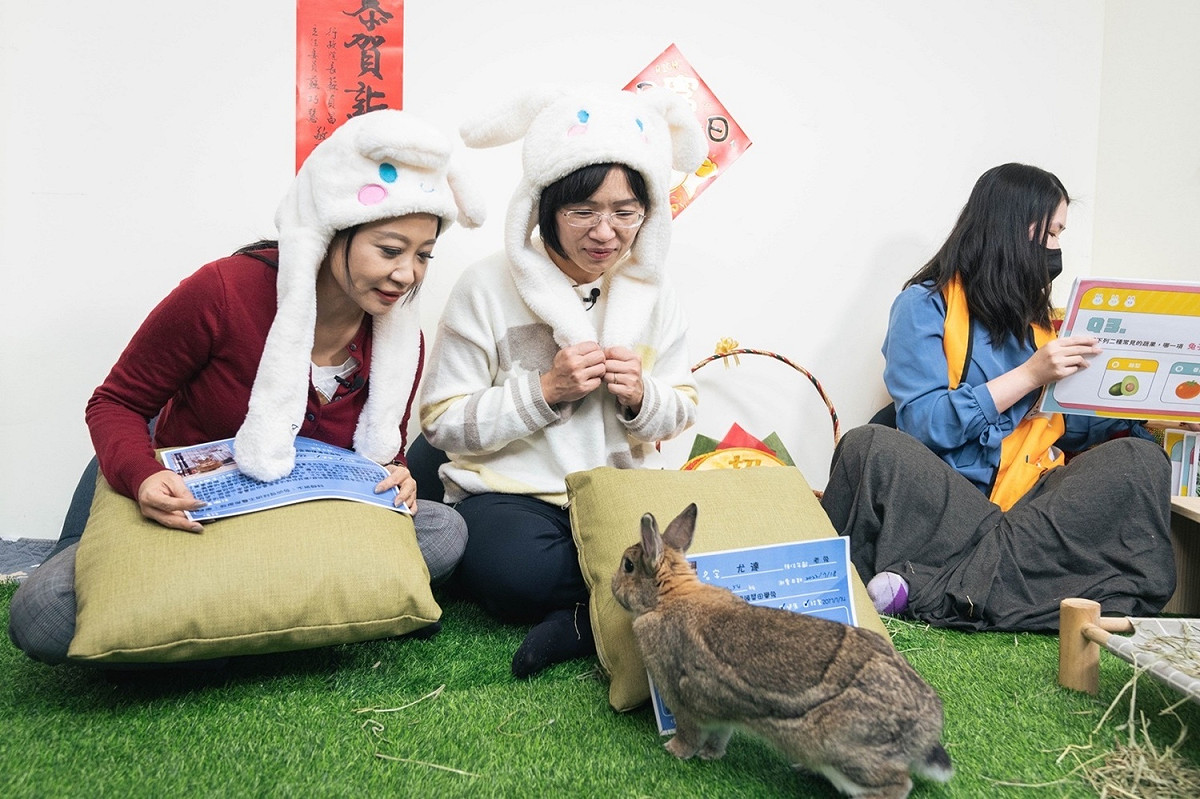 蘇巧慧及林楚茵應景地戴上Q版兔子帽，並由浪兔協會志工介紹兔子的習性。 圖：蘇巧慧辦公室提供